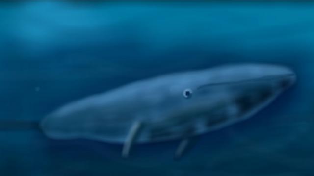 ব্লু হোয়েল: আতঙ্ক নয় সতর্কতা জরুরি