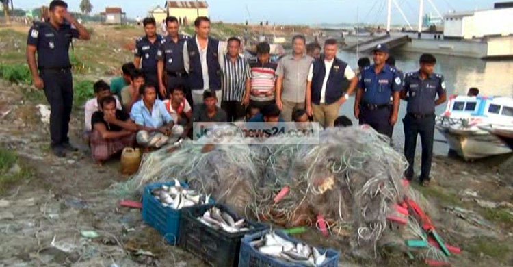 ইলিশ ধরার অপরাধে পদ্মায় ১৪ জেলের কারাদণ্ড