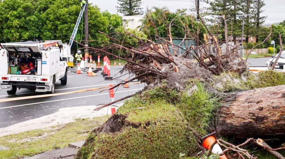 ঘূর্ণিঝড় আলফ্রেডের আঘাতে লণ্ডভণ্ড অস্ট্রেলিয়া