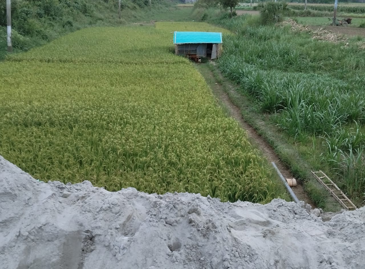 খাল ভরাট ও ফসলি জমি ধ্বংসের অভিযোগে মাটির ব্যবসায়ী মোঃ শফিউল আলম আটক